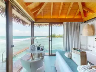 Princess Senses The Mangrove