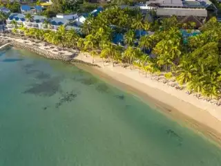 The Ravenala Attitude