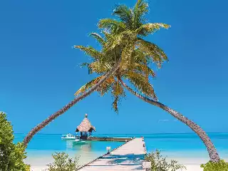 Canareef Resort Maldives