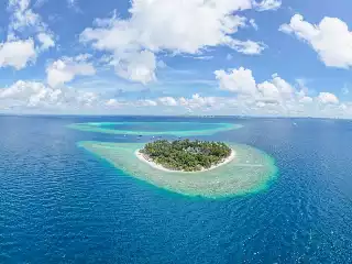 Malahini Kuda Bandos