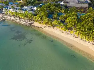 The Ravenala Attitude